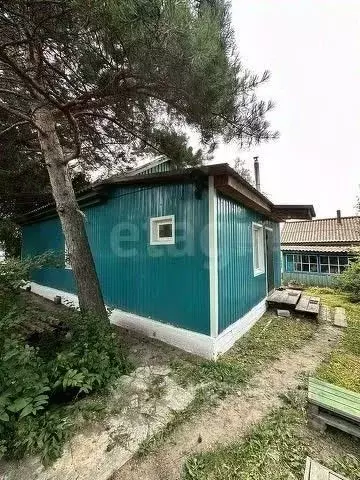 Дом в Амурская область, Тамбовский муниципальный округ, с. Раздольное ... - Фото 1