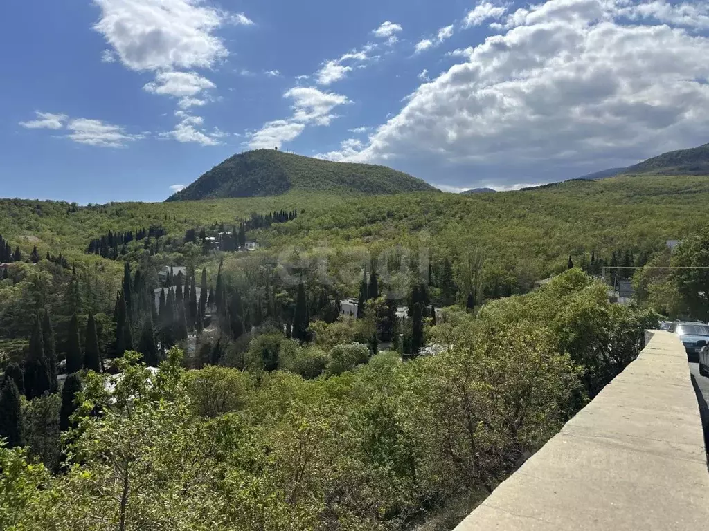 Участок в Крым, Алушта муниципальный округ, с. Виноградное ул. ... - Фото 2