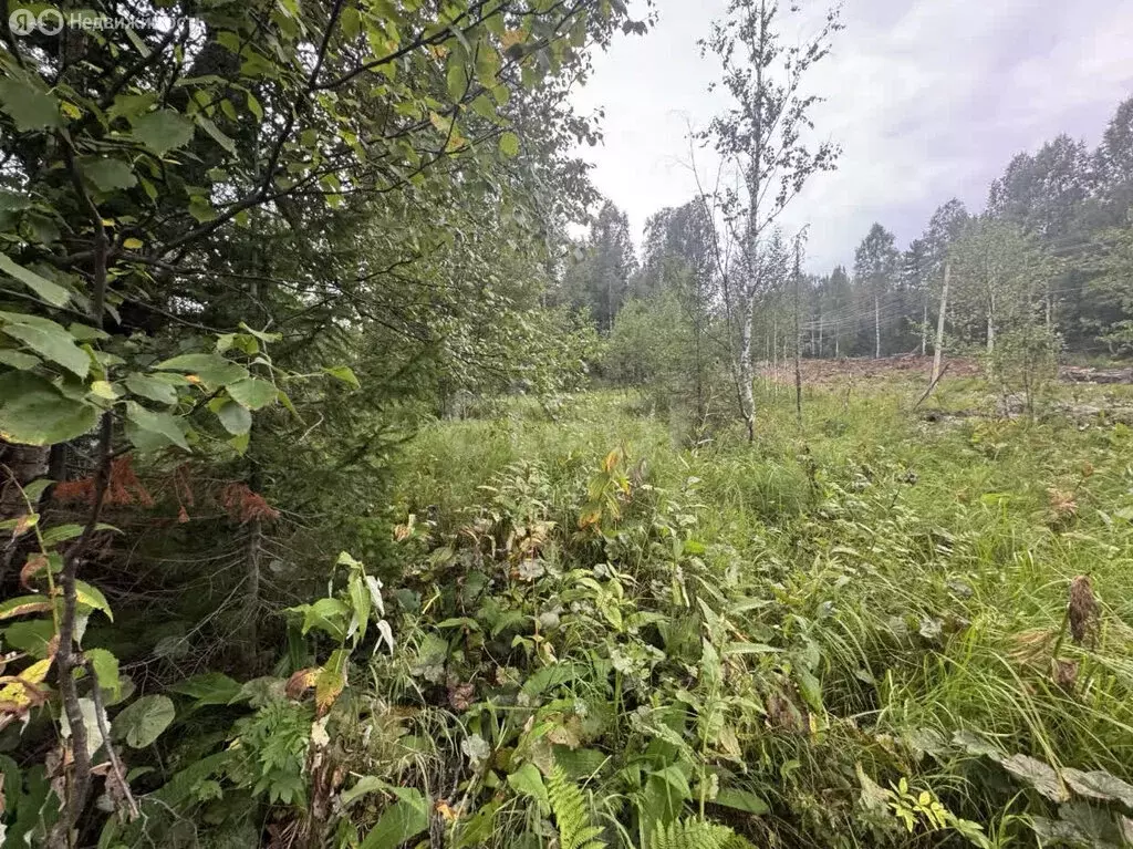 Участок в посёлок городского типа Шерегеш, улица Евгения Кискорова (11 ... - Фото 2