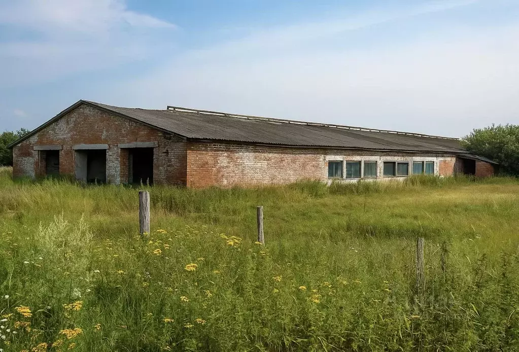 Участок в Калужская область, Куйбышевский район, Бутчино с/пос, д. ... - Фото 1