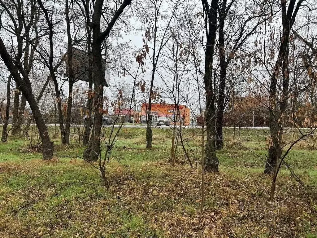 Участок в Ростовская область, Аксайский район, Большой Лог хут. ... - Фото 1