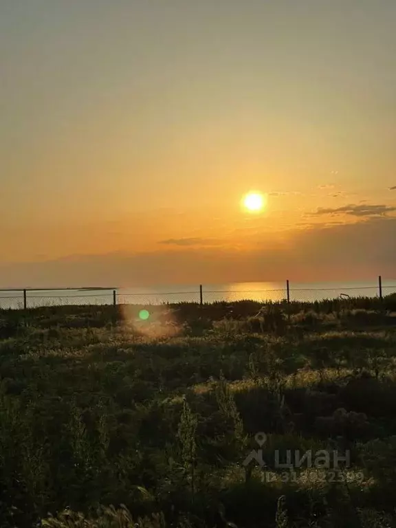 Участок в Краснодарский край, Щербиновский район, с. Глафировка ... - Фото 1