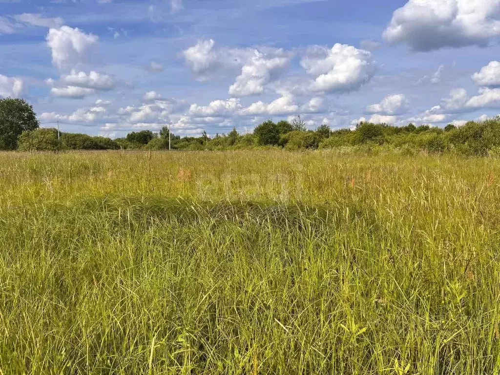 Участок в Московская область, Луховицы муниципальный округ, д. ... - Фото 1