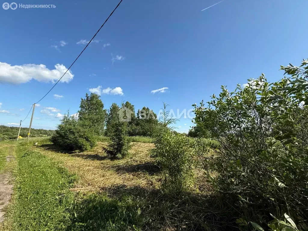 Участок в Вологодский муниципальный округ, деревня Бабик (21 м) - Фото 1