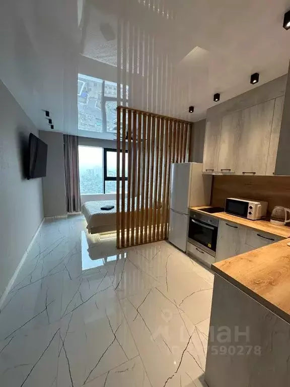 Студия Приморский край, Владивосток Стрелковая ул., 18к1 (26.0 м) - Фото 0