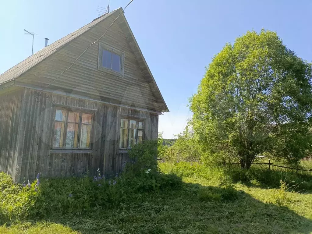 Дом 55,5 м на участке 25 сот. - Фото 1