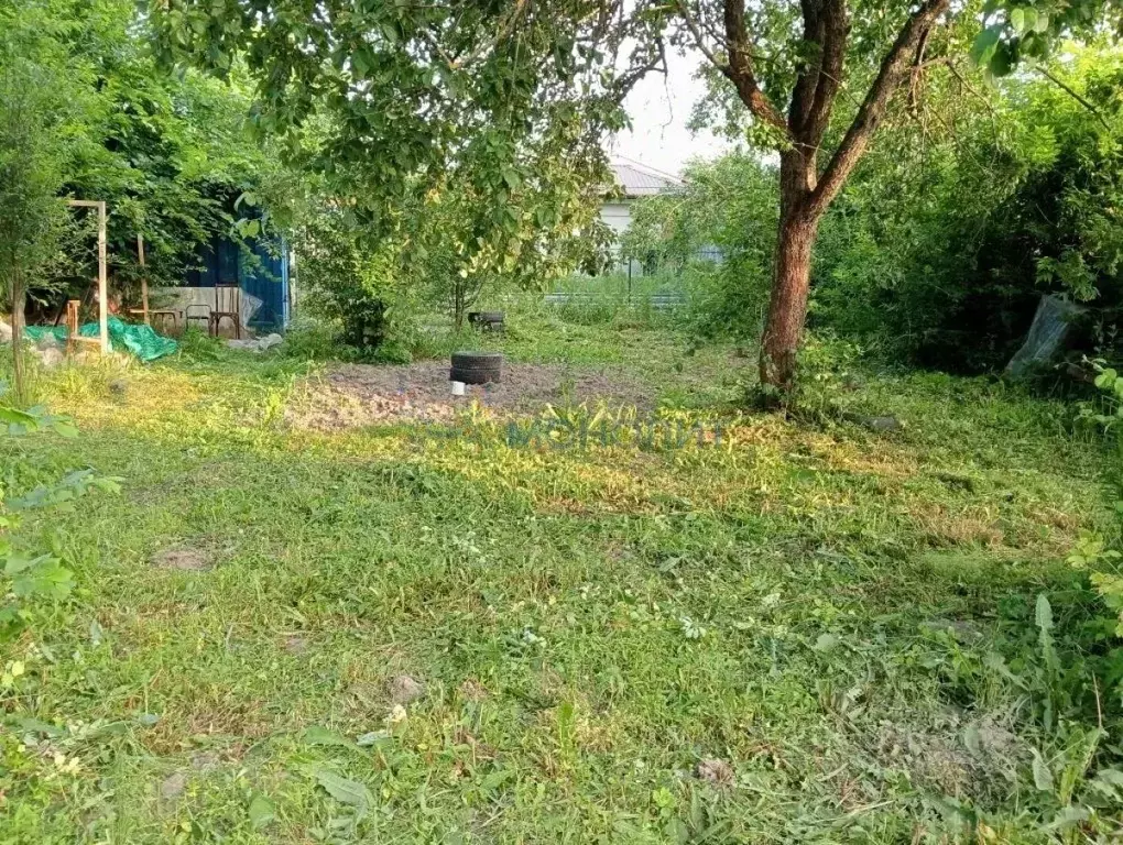 Участок в Нижегородская область, Нижний Новгород Орловка-1 СТ,  (3.0 ... - Фото 1