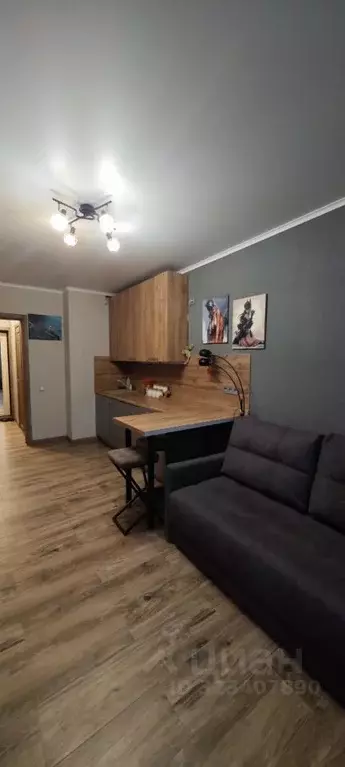 Студия Краснодарский край, Анапа ул. Ленина, 185Ак4 (24.0 м) - Фото 1