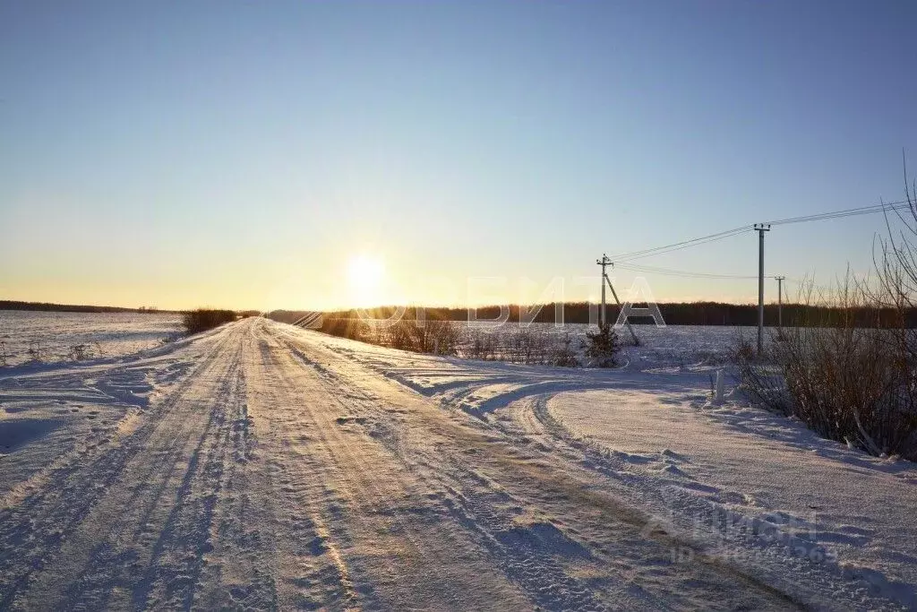 Участок в Тюменская область, Тюменский район, с. Кулига, Кулига-2 мкр  ... - Фото 0