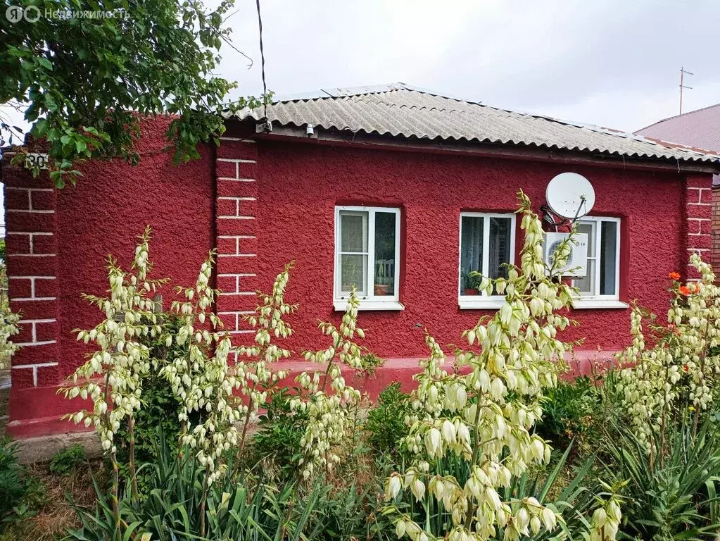 Дом в село Лакедемоновка, Заречная улица, 30 (80 м) - Фото 1