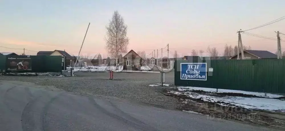 Участок в Новосибирская область, Новосибирский район, Кубовинский ... - Фото 1