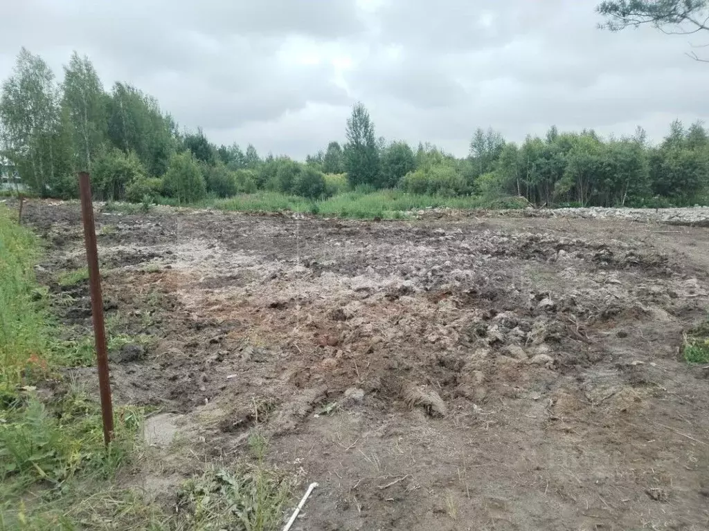 Участок в Тюменская область, Нижнетавдинский муниципальный округ, ... - Фото 2