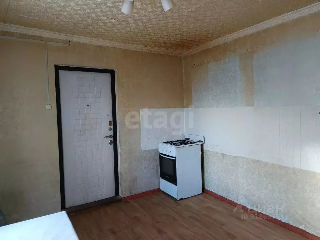 1-к кв. Псковская область, Остров Заводской пер., 7 (25.5 м) - Фото 1