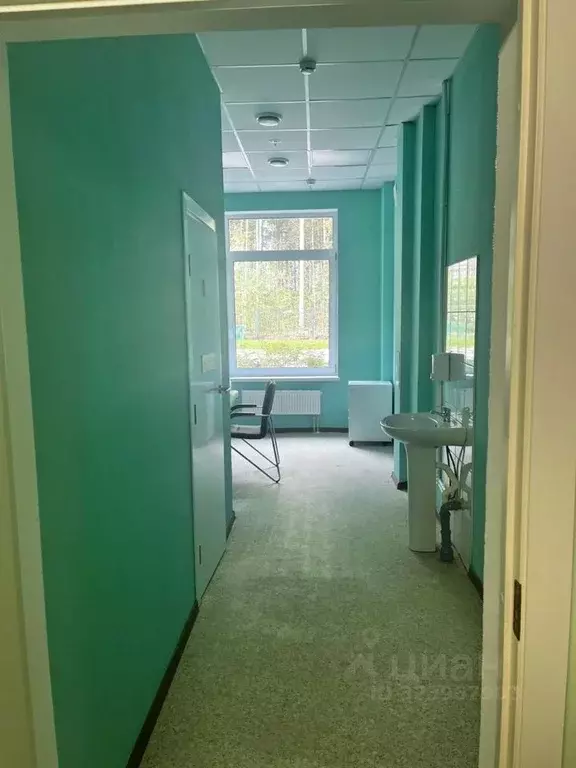 Помещение свободного назначения в Ленинградская область, Кингисепп ул. ... - Фото 2