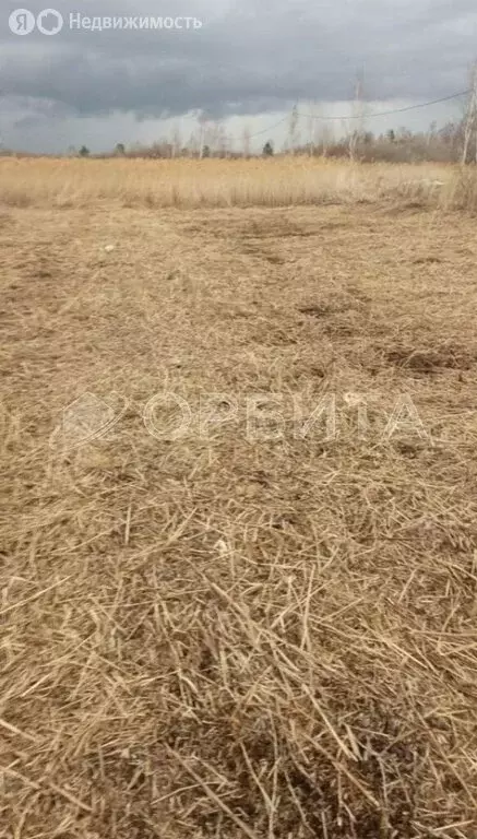 Участок в Тюмень, садовое товарищество Ясень (10 м) - Фото 2