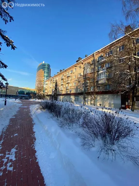 1-комнатная квартира: Балашиха, проспект Ленина, 10 (32 м) - Фото 2