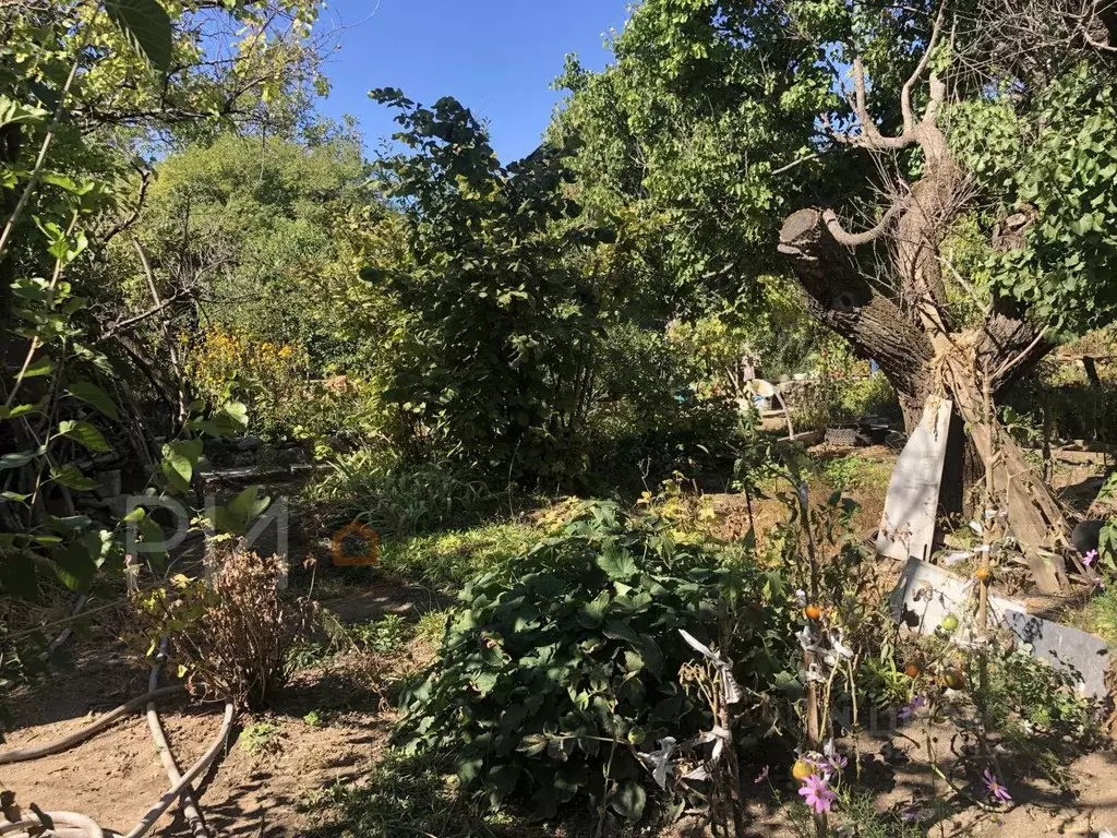 Участок в Севастополь Сапун-гора СНТ, ул. Вилора Чекмака (5.1 сот.) - Фото 2