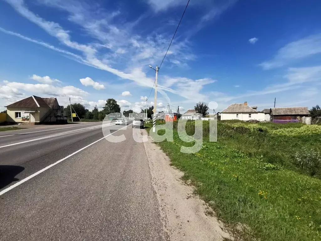 Участок в Брянская область, Выгоничский район, Кокинское с/пос, с. ... - Фото 1