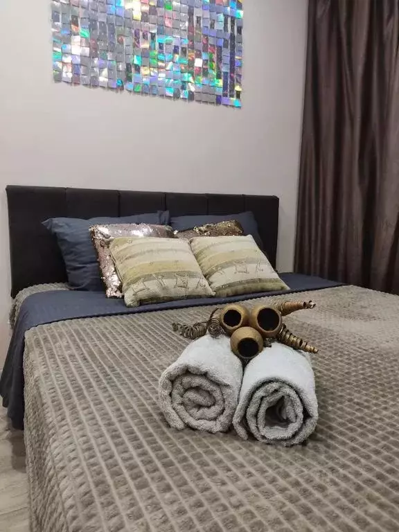 1-к кв. Воронежская область, Воронеж Никитинская ул., 46 (27.0 м) - Фото 0