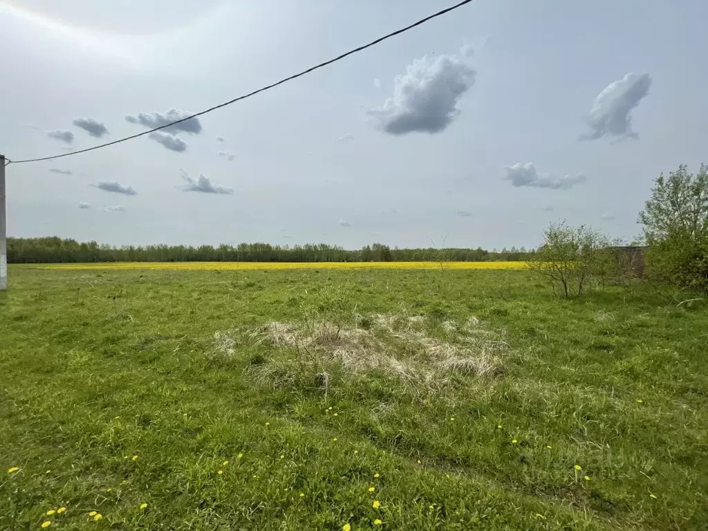 Участок в Московская область, Сергиево-Посадский городской округ, д. ... - Фото 0