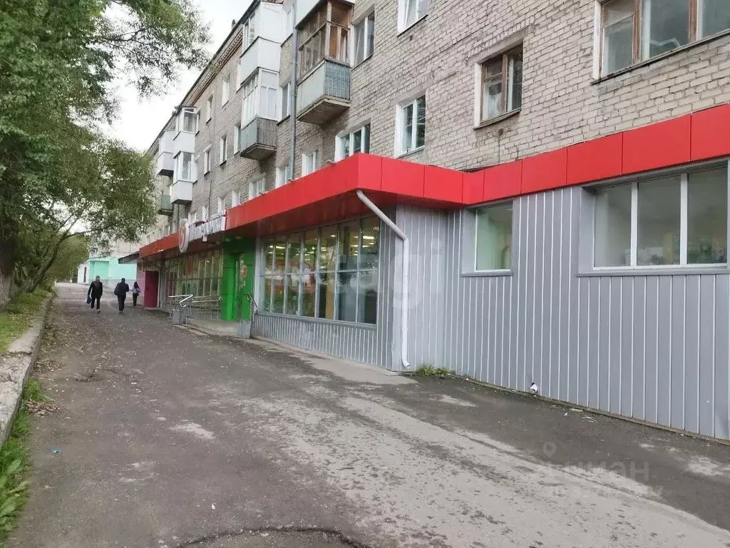 Торговая площадь в Пермский край, Соликамск ул. Пушкина, 1 (570 м) - Фото 2