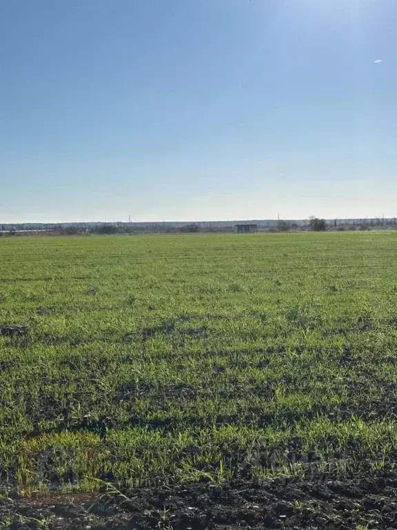 Участок в Крым, Бахчисарайский район, с. Песчаное  (300.0 сот.) - Фото 0