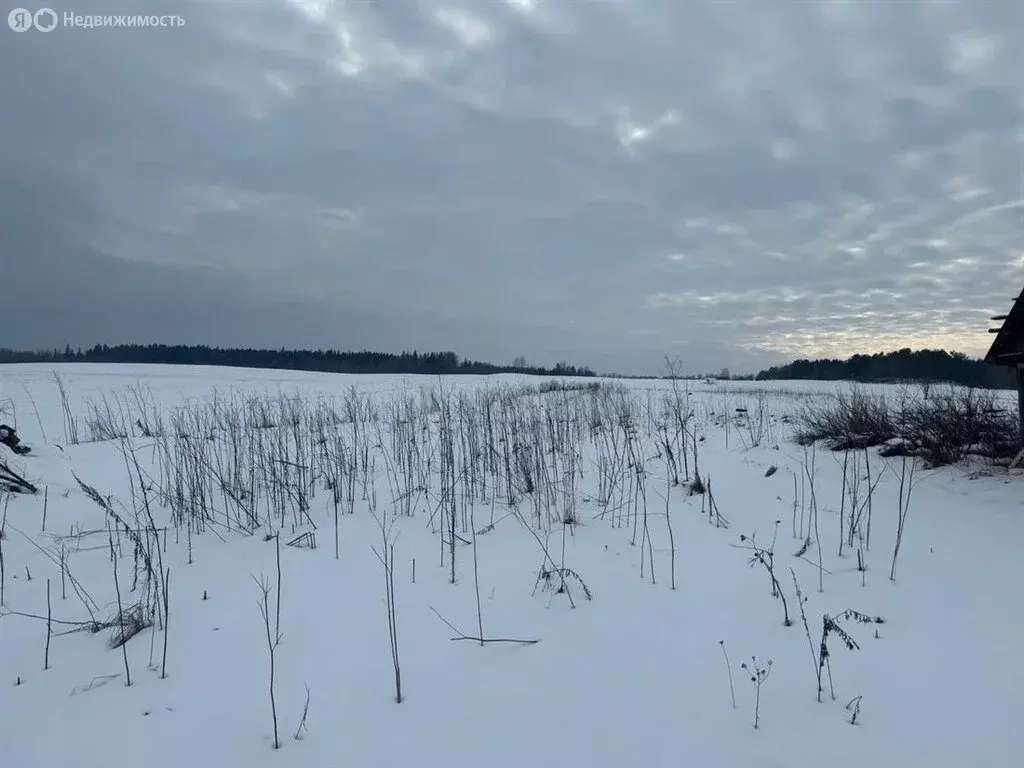 Участок в Ленинградская область, Гатчинский муниципальный округ, ... - Фото 1
