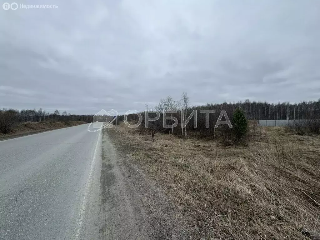 Участок в Тюменская область, Нижнетавдинский муниципальный округ, СНТ ... - Фото 2