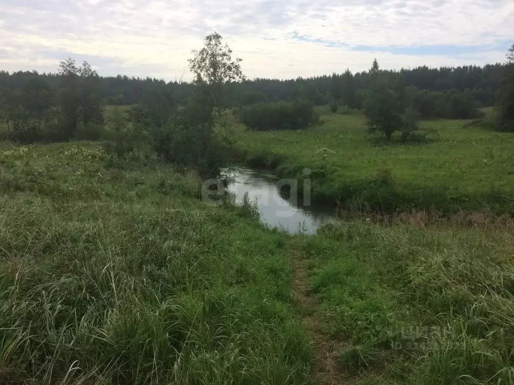 Участок в Ленинградская область, Ломоносовский район, Ропшинское ... - Фото 0