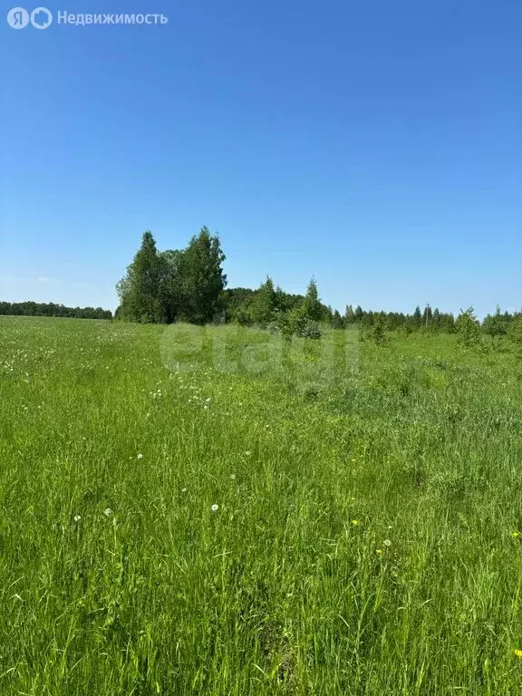 Участок в сельское поселение Красноярское, деревня Бронники (3508 м) - Фото 2