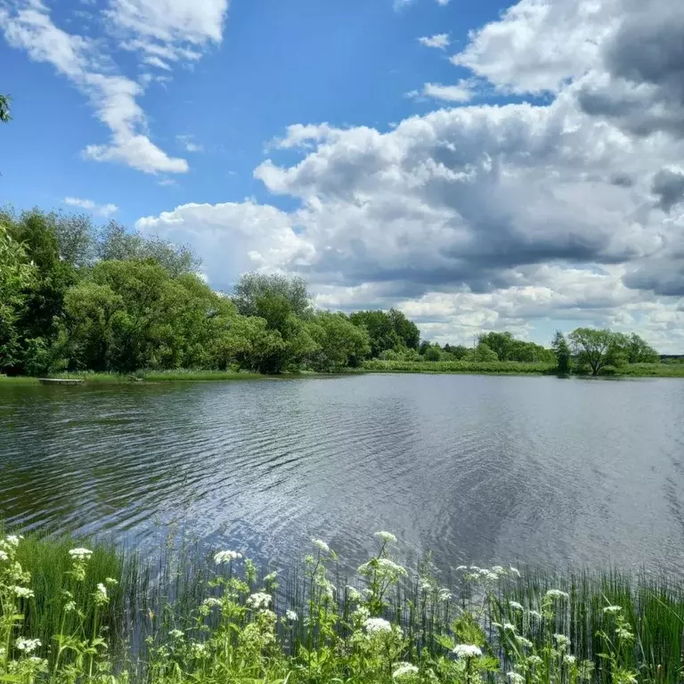 Участок в Москва с. Богоявление, 5 (6.2 сот.) - Фото 1