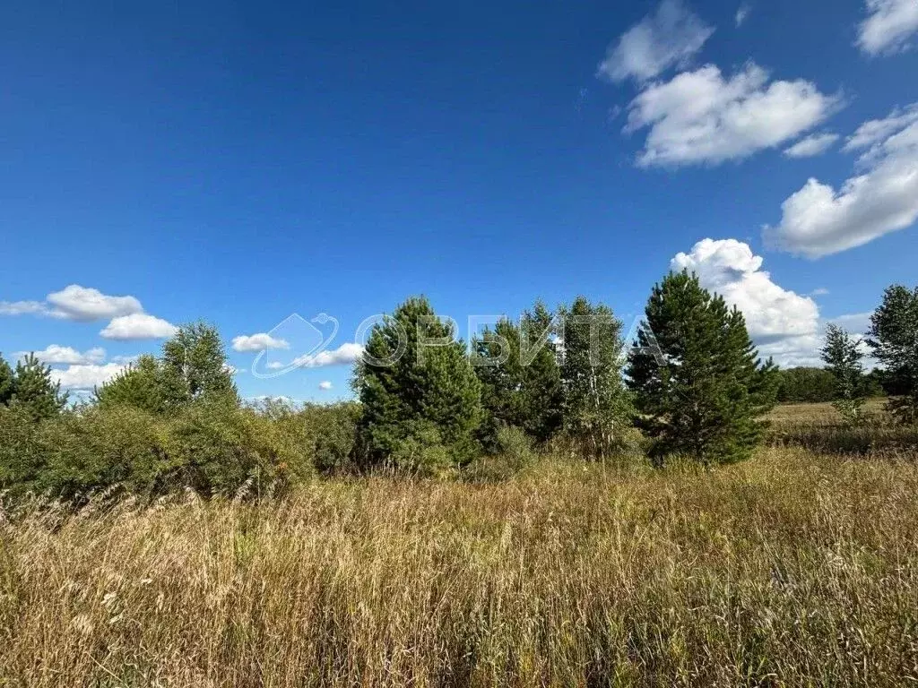 Участок в Тюменская область, Тюменский район, д. Речкина  (8.8 сот.) - Фото 2