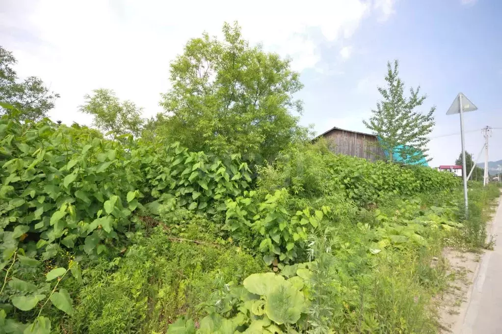 Участок в Сахалинская область, Южно-Сахалинск ул. Памятная (7.95 сот.) - Фото 1