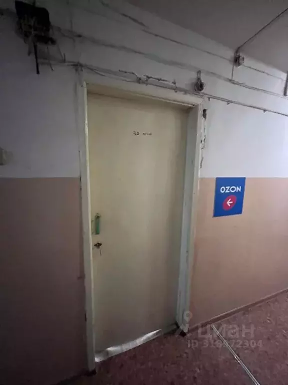 Помещение свободного назначения в Омская область, Омский район, с. ... - Фото 0