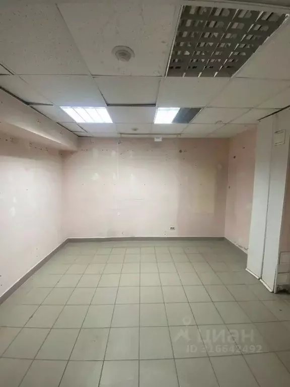 Помещение свободного назначения в Брянская область, Брянск ул. ... - Фото 0