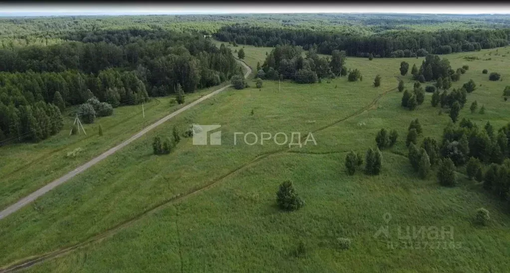 Помещение свободного назначения в Новосибирская область, Мошковский ... - Фото 0