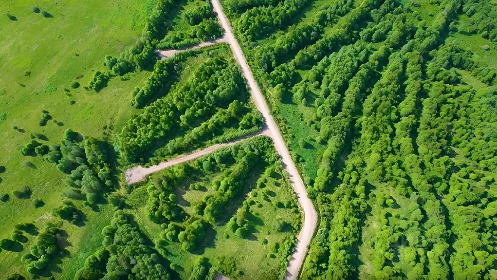 Участок в Ленинградская область, Выборгский район, Рощинское городское ... - Фото 1