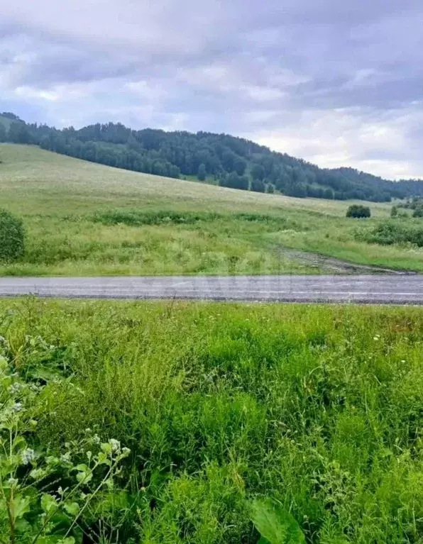 Участок 5,29 га (ИЖС) - Фото 0