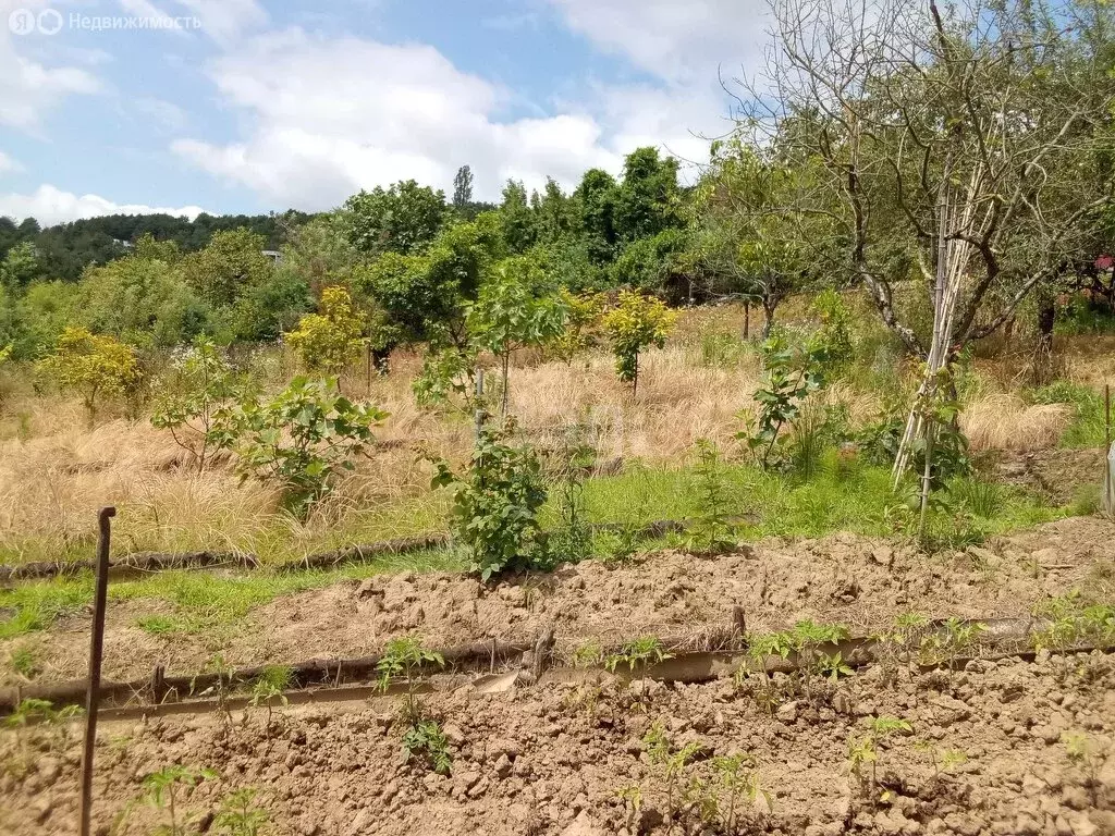 Участок в село Нижняя Шиловка, Светогорская улица (28.6 м) - Фото 1