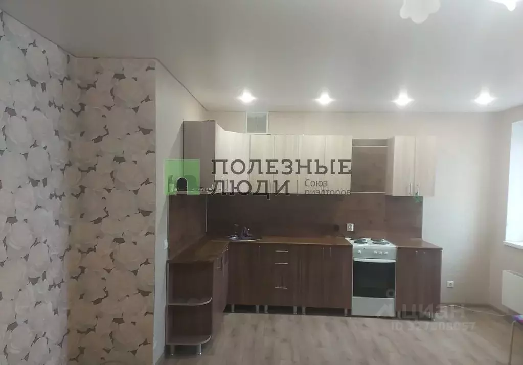 Студия Курганская область, Курган ул. Чкалова, 3 (32.0 м) - Фото 2