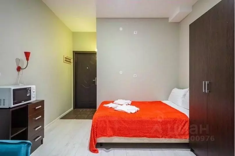 1-к кв. Санкт-Петербург Коломенская ул., 14 (18.0 м) - Фото 2