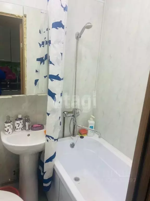 Студия Кемеровская область, Кемерово ул. Попова, 5 (22.5 м) - Фото 1