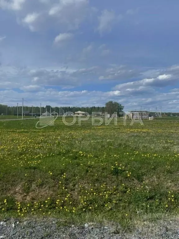 Участок в Тюменская область, Тюменский район, с. Червишево  (9.0 сот.) - Фото 1