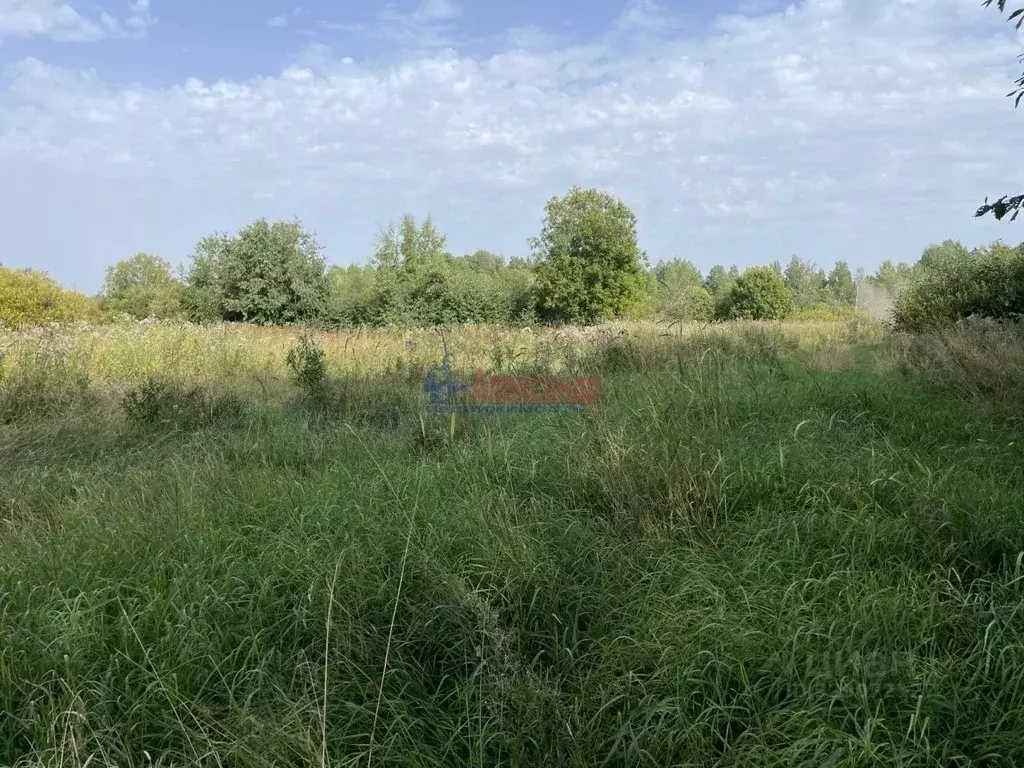 Участок в Ленинградская область, Приозерский район, Ларионовское ... - Фото 1