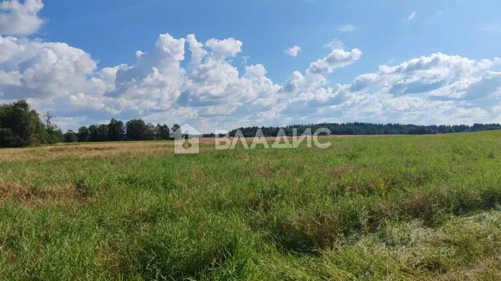 Участок в Ленинградская область, Кировский район, Назиевское городское ... - Фото 1