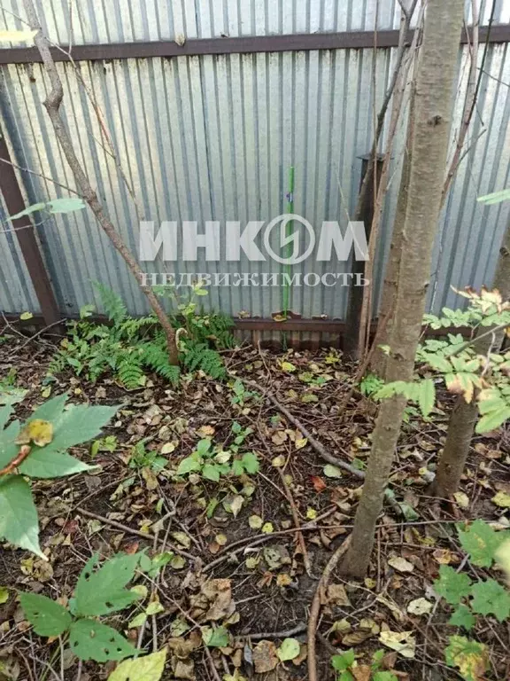 Участок в Московская область, Раменский муниципальный округ, Удельная ... - Фото 2