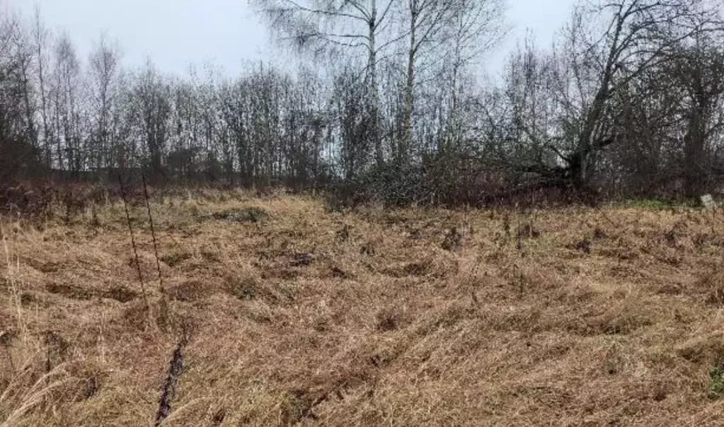 Участок в Московская область, Дмитровский муниципальный округ, д. ... - Фото 1