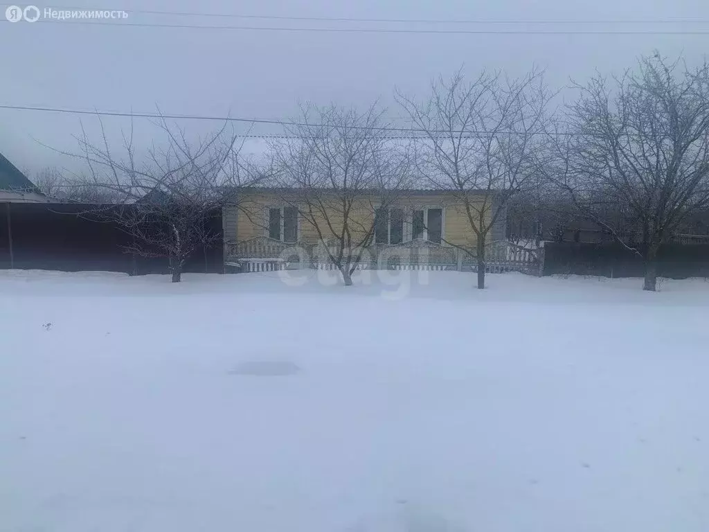 Дом в село Большие Липяги, улица Свободы (51.3 м) - Фото 2