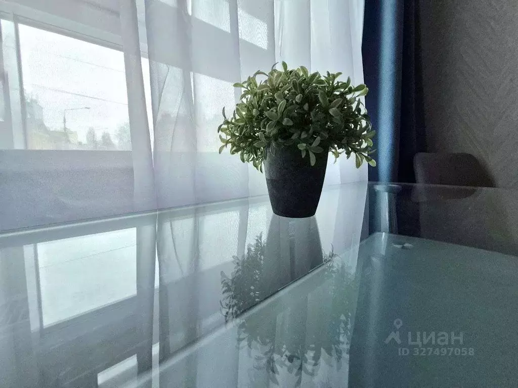 Студия Белгородская область, Белгород ул. Попова (31.0 м) - Фото 1