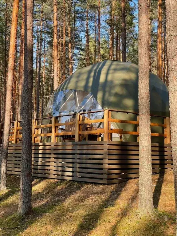 Комната Ленинградская область, Приозерский район, Красноозерное с/пос, ... - Фото 1